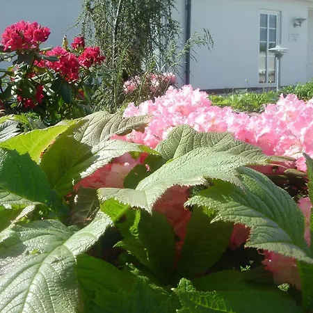 Bed ベッド・アンド・ブレックファスト ヘアニング